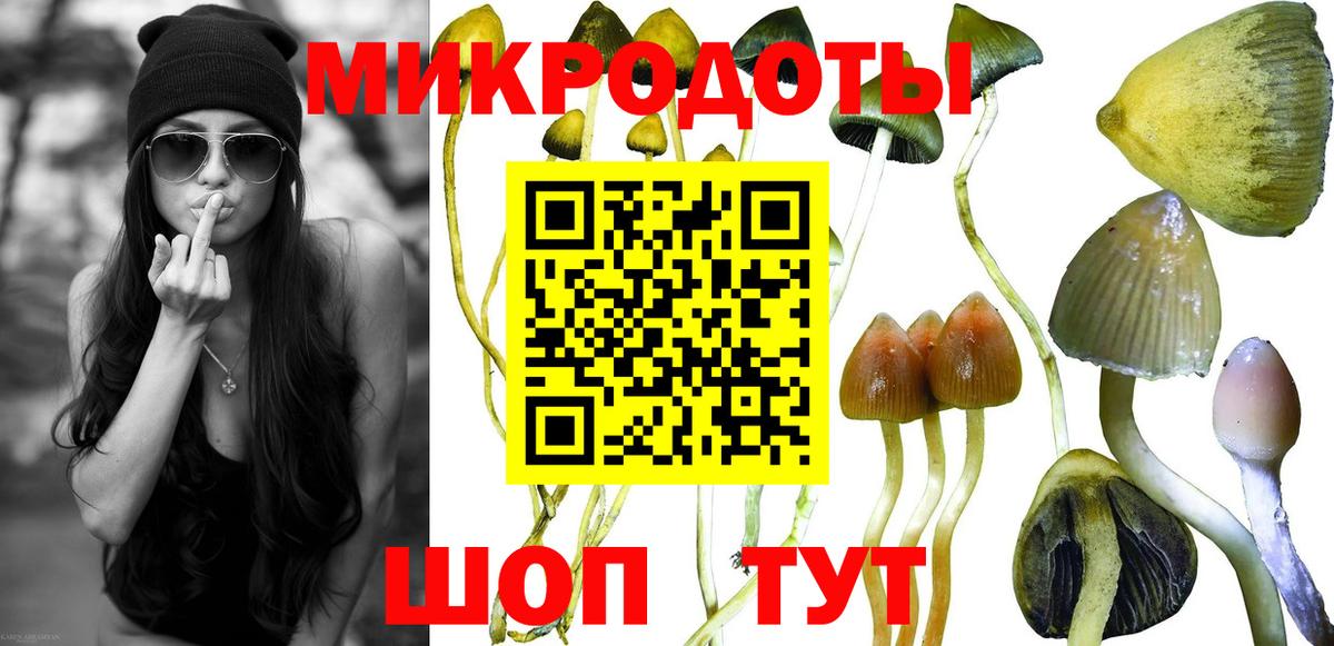 Лесосибирск  Галлюциногенные грибы GOLDEN TEACHER  Вход с VPN 