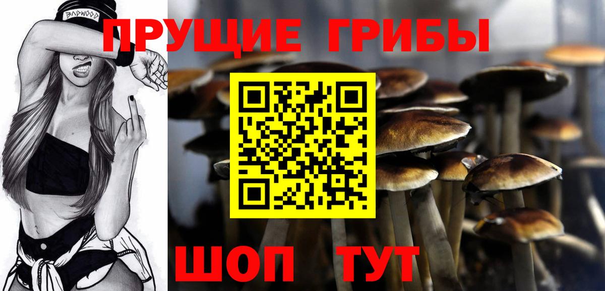 Псилоцибиновые грибы Magic Shrooms Лесосибирск